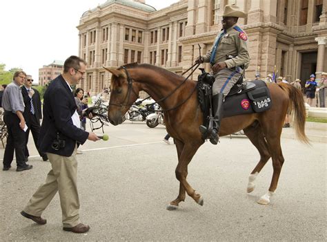Dps Introduces Mounted Horse Patrol Unit At The Capitol Collective