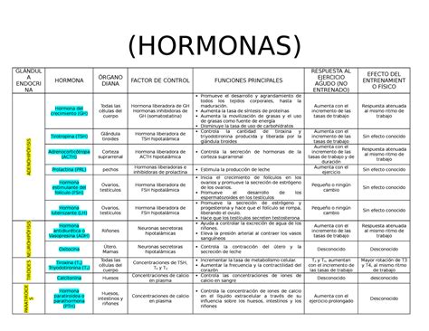 Hormonas Tabla Comparativa Donde Se Muestra Cada Tipo Vrogue Co