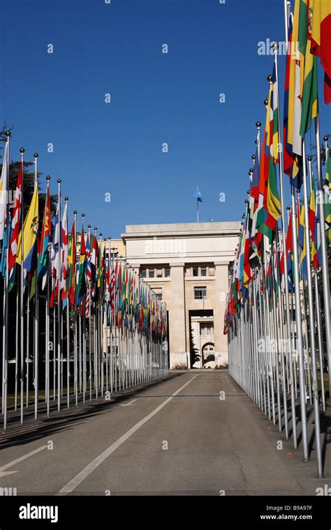 Flag Lined Route Leading To The Palais Des Nations Offices Of The