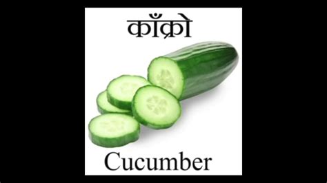 Vegetables Names In English And Nepali Languages Youtube