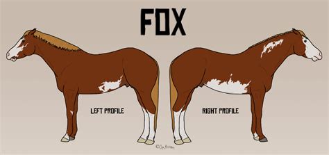 Fox Reference Sheet By Synbrittany On Deviantart