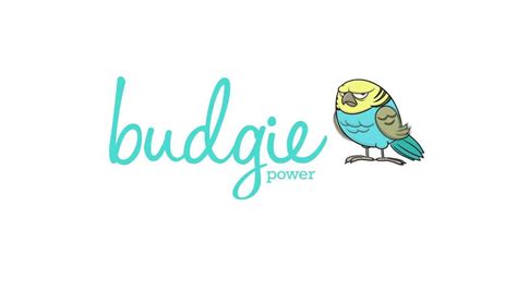 Budgie Power Ad Comp 2014 Team Budgie Power Youtube