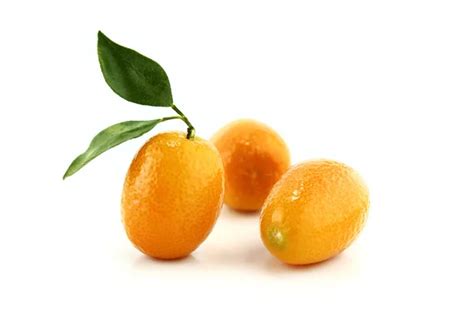 Mały Owoc Pomarańczowy — Zdjęcie Stockowe © Designsstock 23188306