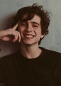 28 Aesthetic and Vintage Timothee Chalamet iPhone Wallpaper Ideas ...