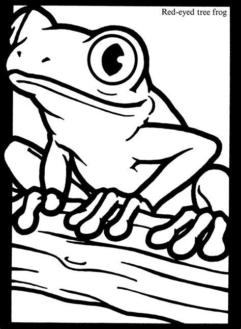 Tree Frog Pictures To Color Fun Coloring Page