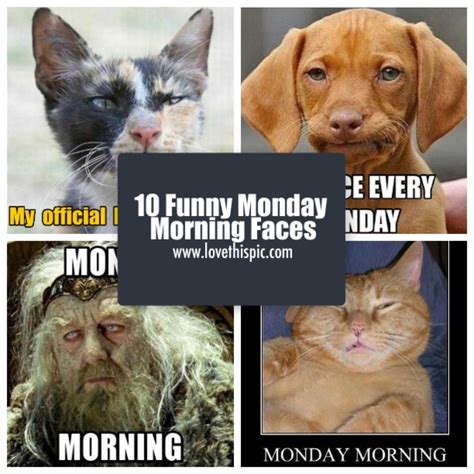 When monday morning and getting to work are realizations that you didn't die in your sleep. 10 Funny Monday Morning Faces