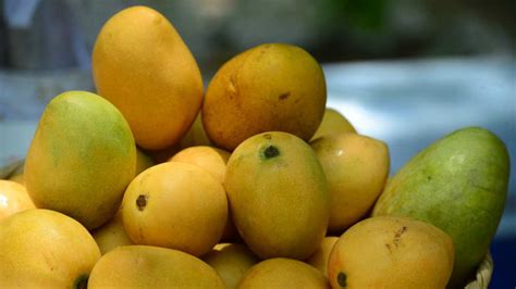 The antioxidants in mangos have. Conoce las sorprendentes bondades del mango | Noticias de ...