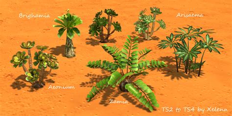 Ts2 To Ts4 Plants Flowers Mega Pack Sims Sims 4 Plant