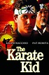 Karate Kid | Wiki The Karate Kid | Fandom