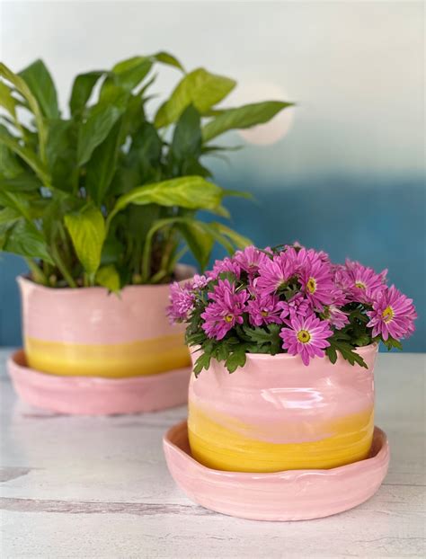 Light Pink Pot Pink Planter Pot Pink Planter Succulent Pot Etsy