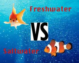 freshwater aquarium fish vs saltwater 2017 Fish Tank Maintenance