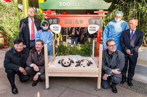Berlin Zoo To Welcome Two New Giant Pandas