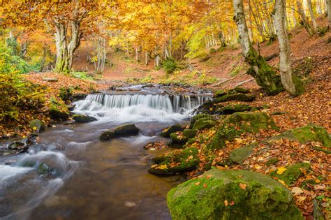 Beautiful Autumn Waterfall Stock Photo Image Of Green 54503542