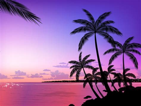 Palm Trees Wallpapers Wallpaper Cave