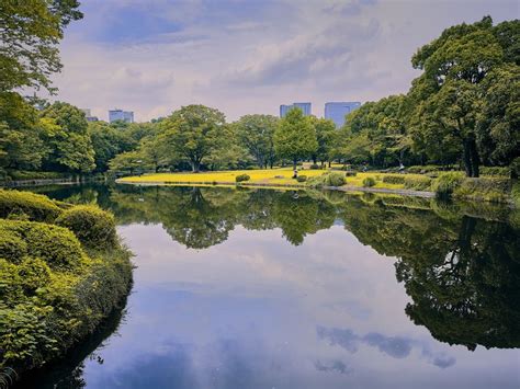 Nature In The City Smithsonian Photo Contest Smithsonian Magazine