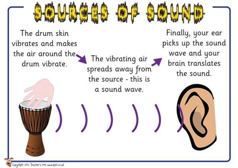Teachers Pet Sound And Hearing Posters Free Classroom Display