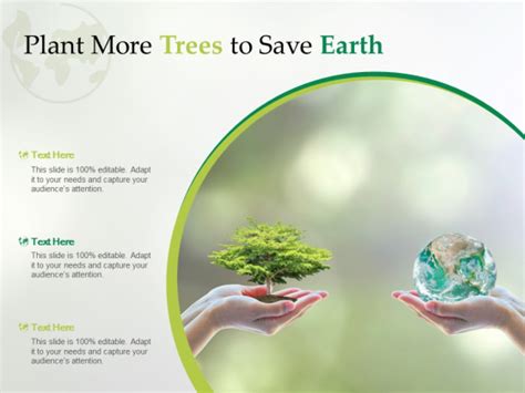 Plant More Trees To Save Earth Ppt Powerpoint Presentation Show Layout