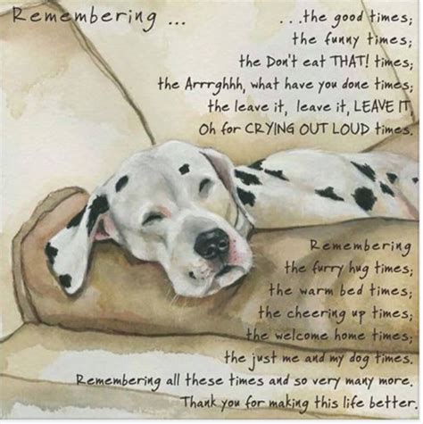 Remembering I Love Dogs Puppy Love Cute Dogs Funny Dogs Animal