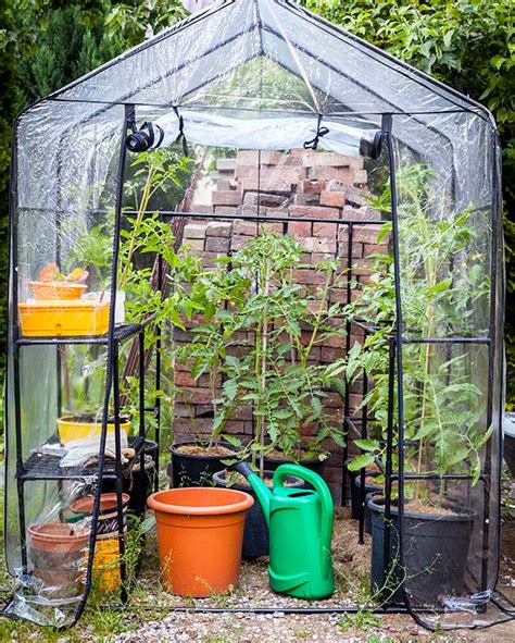 Backyard Greenhouse Ideas Diy Kits And Designs