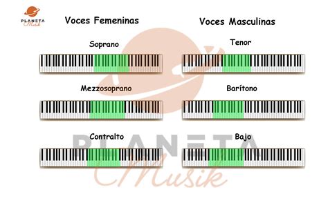 Rango Vocal De Los 6 Tipos De Voces De Hombres Y Mujeres Soprano