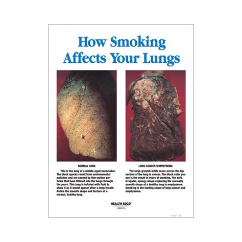 How Smoking Affects Your Lungs