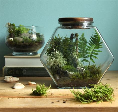 Beautiful Diy Terrarium In 3 Easy Steps {no Care For 3 Months } A Piece Of Rainbow