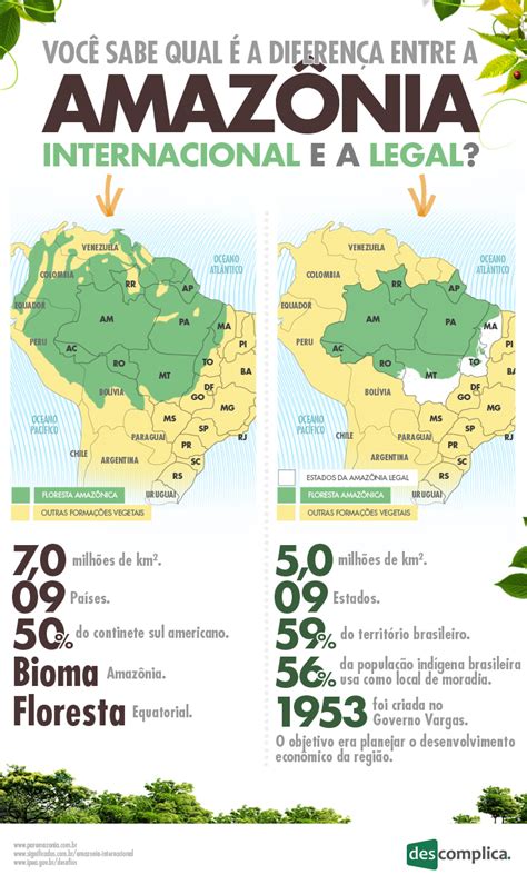 Mapa Mental Floresta Amazonica Brainstack Porn Sex Picture