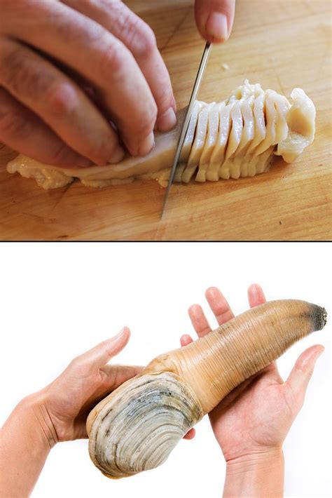If Youre Lucky Enough To Get Your Hands On A Geoduck Give It A Quick