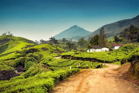Best Things To Do In Munnar The Idyllic Beauty For Every Traveler