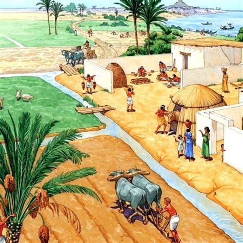 Ancient Egypt Civilization Agriculture