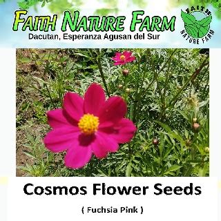 You get a quote from different couriers. Cosmos Flower Seeds w/ Different Colors | Shopee Philippines