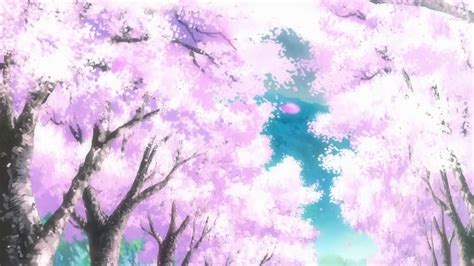 Anime Cherry Blossom Wallpaper Wallpapersafari