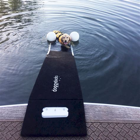 With the dog boat boarding ladder, dog owners everywhere can stop dreading the notion of loading their dog back onto the boat and simply cherish the moments they get to spend with their furry little friends. Boat Dock Ladders For Dogs - About Dock Photos Mtgimage.Org