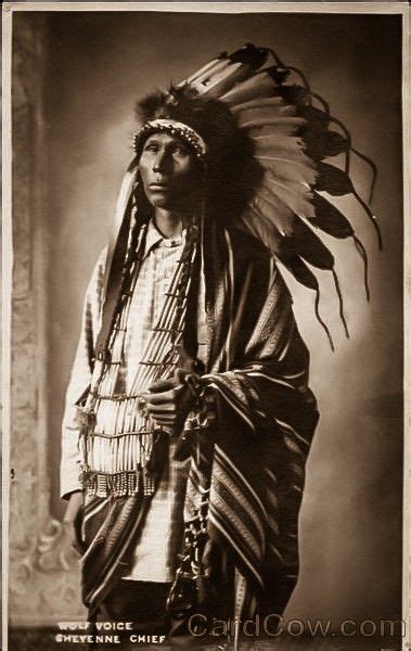 Cheyenne Chief Native Little Wolf Native American Images Native