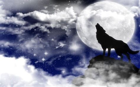 Free Hd Wolf Wallpapers Wallpaper Cave