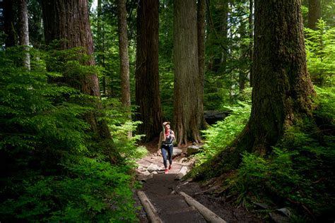 Beginner Hikes In Washington 11 Incredible Spots Renee Roaming