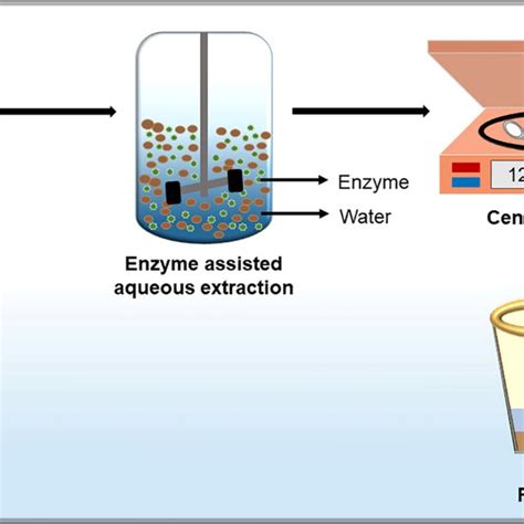 Graphic Representation Of The Workflow For Enzyme Assisted Extraction
