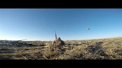 Duck Hunting In Manitoba Canada Youtube
