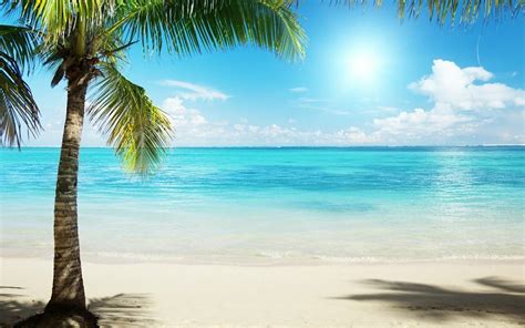 Free Download Tropical Beach Backgrounds 1920x1200 For Your Desktop