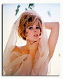(SS2331615) Movie picture of Jill St. John buy celebrity photos and ...