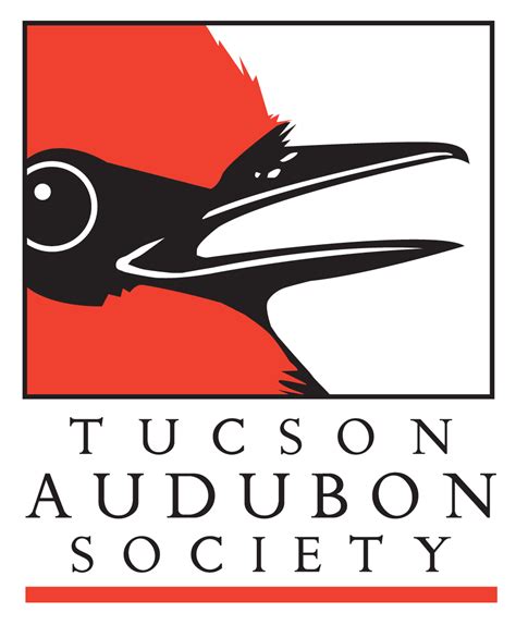 Birding Walk At Amerind With Tucson Audubon Society Volunteer Field