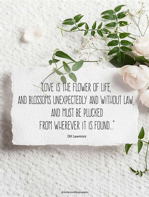 Inspirational Wedding Quotes For The Bride And Groom Easy Qoute