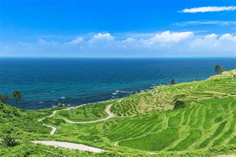 43 Mapa De Ishikawa Images Pedicas - vrogue.co