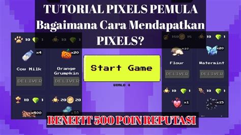 Bagaimana Cara Mendapatkan Pixels Dan Apa Fungsi Poin Reputasi Dan