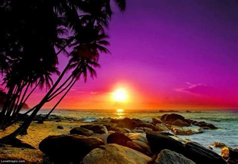 Rocky Beach Sunset Photography Sunset Beach Nature Purple Orange