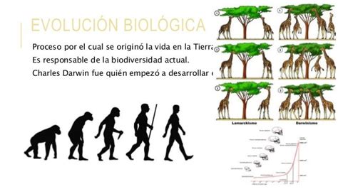 Evolucion De Los Seres Vivos