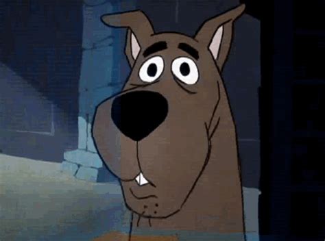 This Scooby Doo Fan Theory Is The Most Bizarre Thing Out There — But