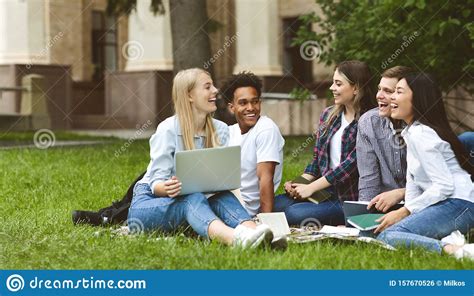 College Students Having Discussion in Campus on Grass Stock Photo ...