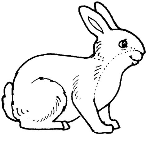 Planse Desene De Colorat Iepure 3 Bunny Coloring Pages Anima Desene