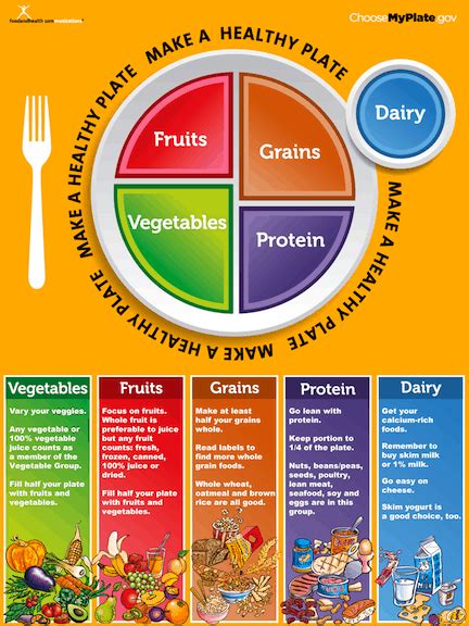 Myplate Food Guide